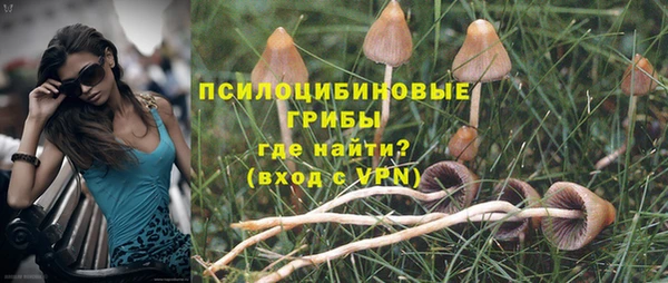 амф Надым
