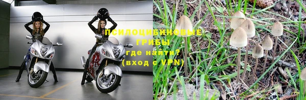 амф Надым